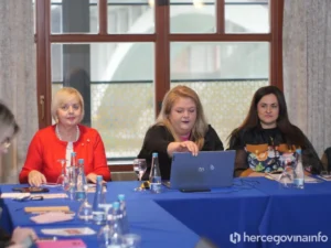 Okrugli stol u Mostaru otvorio pitanje sigurnosti i slobode novinarstva